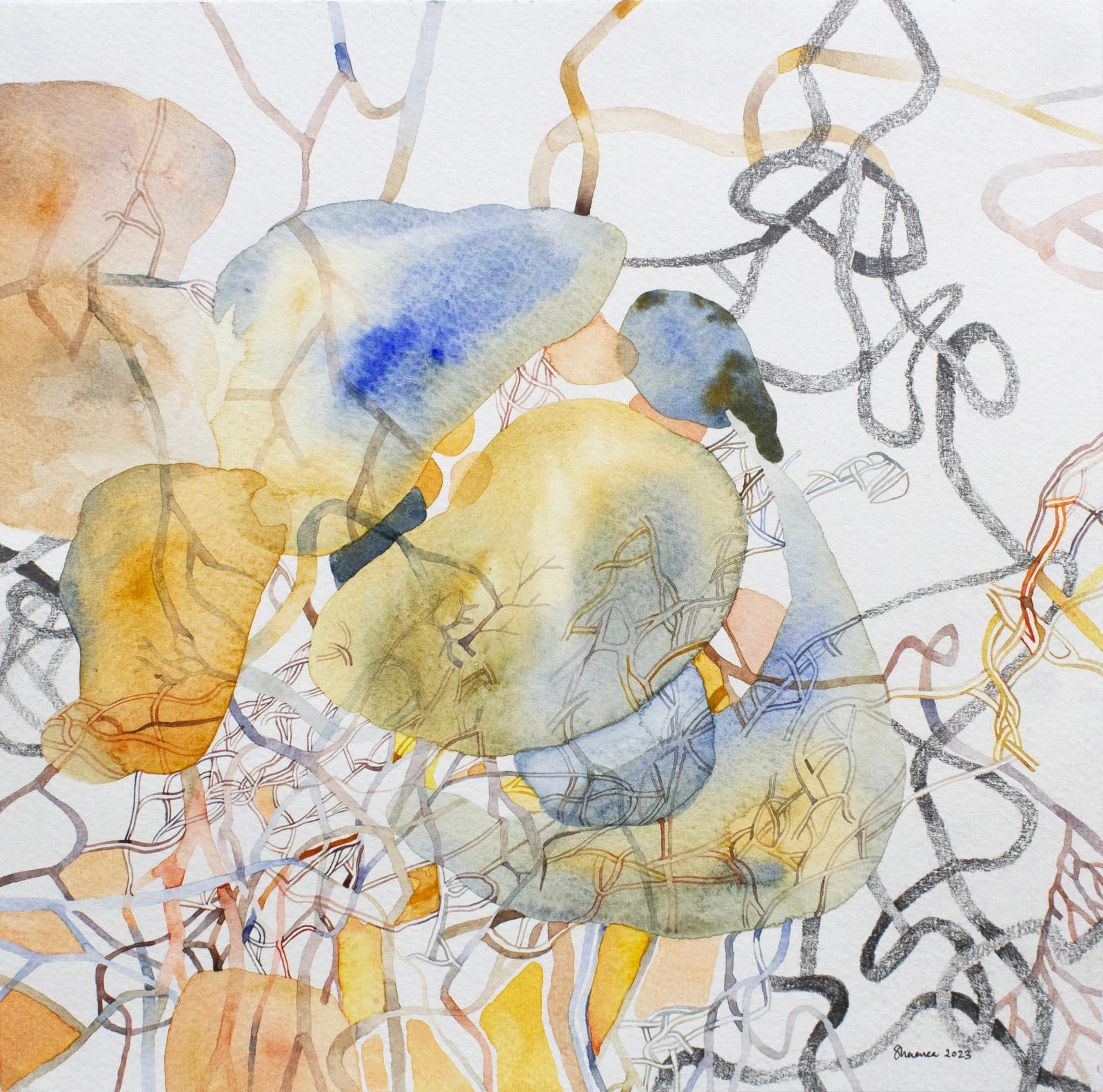 Shaanea Mendis, Untitled II, 2023