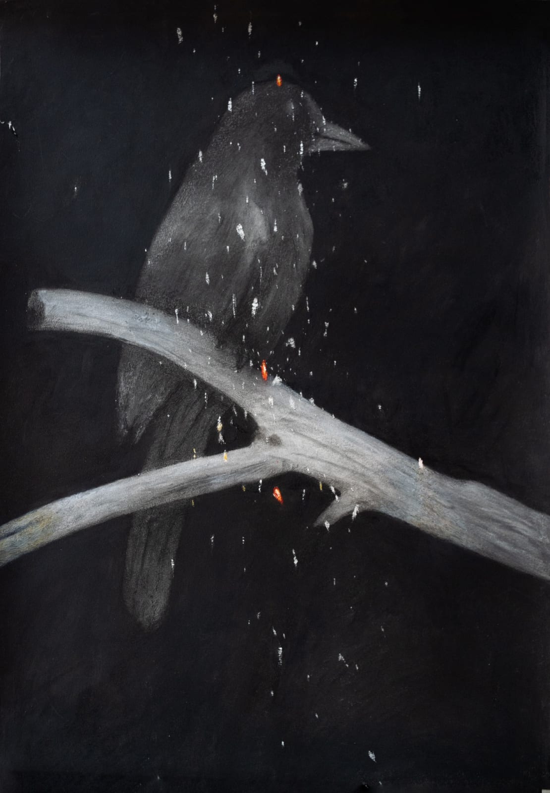Chandra Bhattacharjee, Untitled, 2024