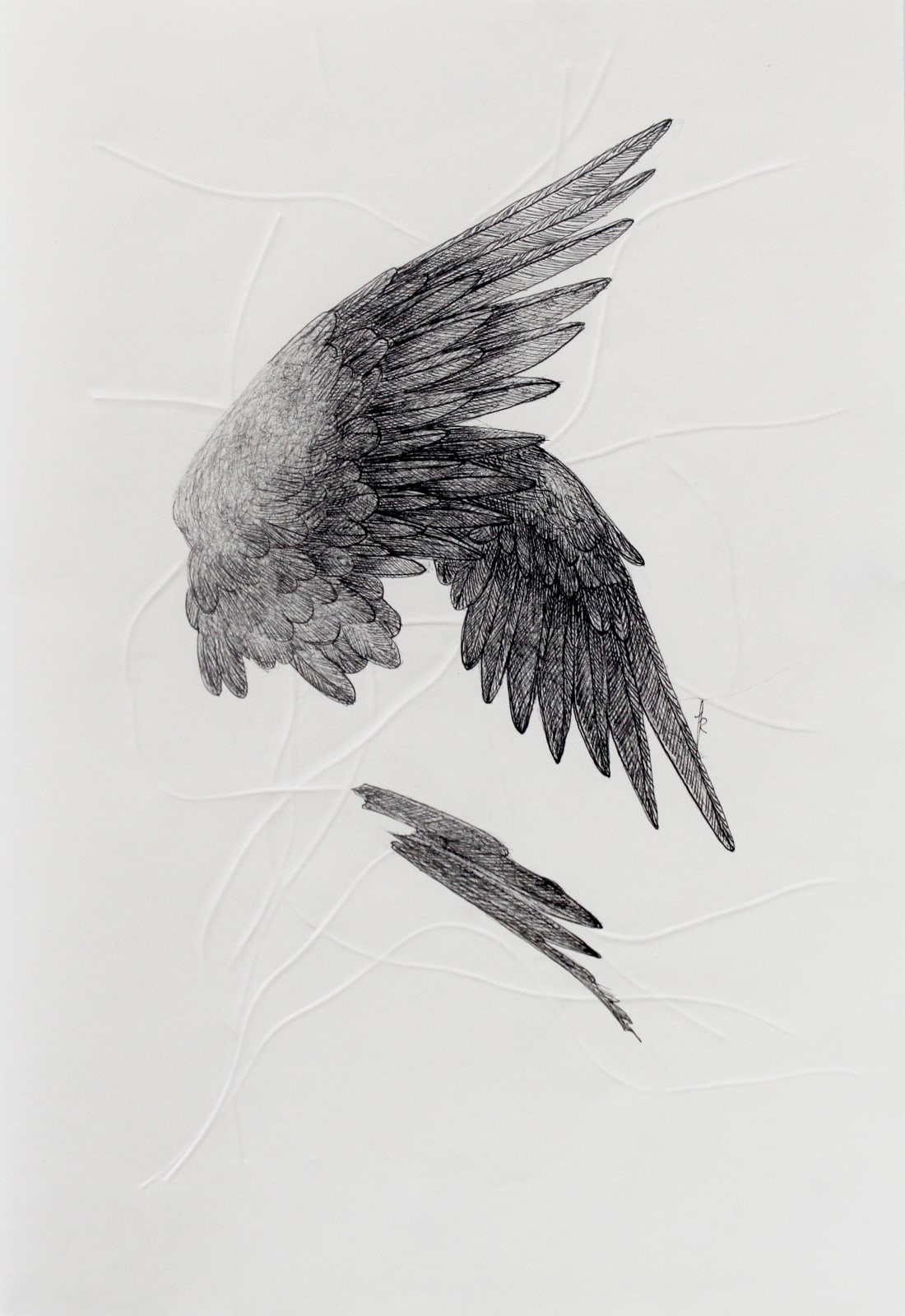 Firi Rahman, The Journey VI, 2023
