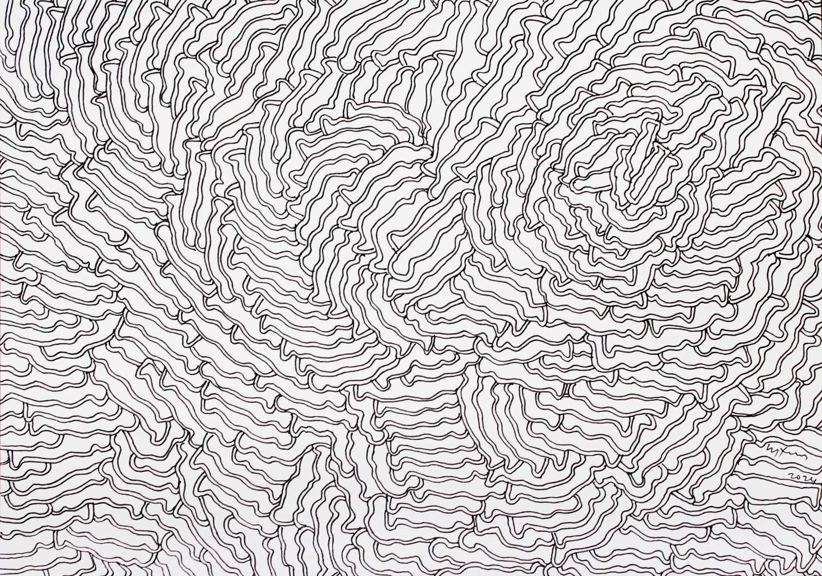 Chandraguptha Thenuwara, Endless , 2024