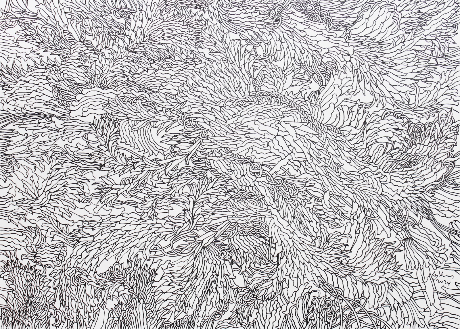 Chandraguptha Thenuwara, Foliage, 2024