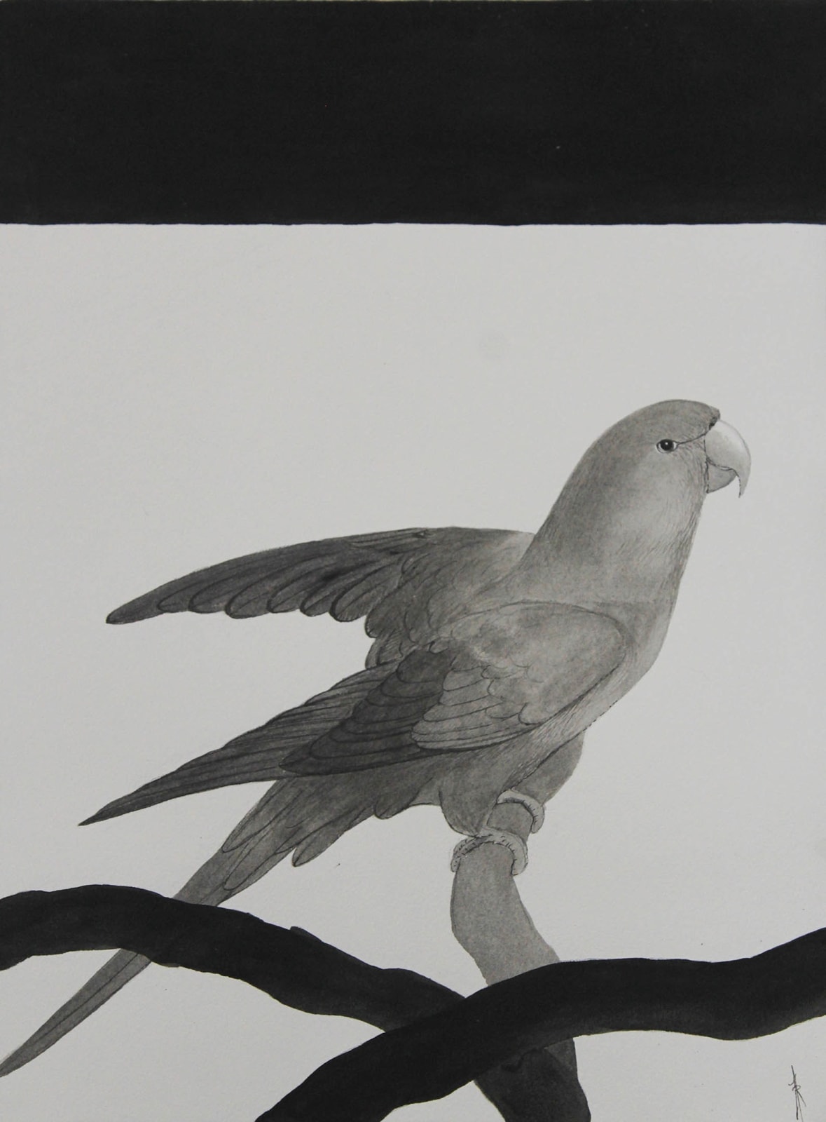 Firi Rahman, The Journey XVII, 2025