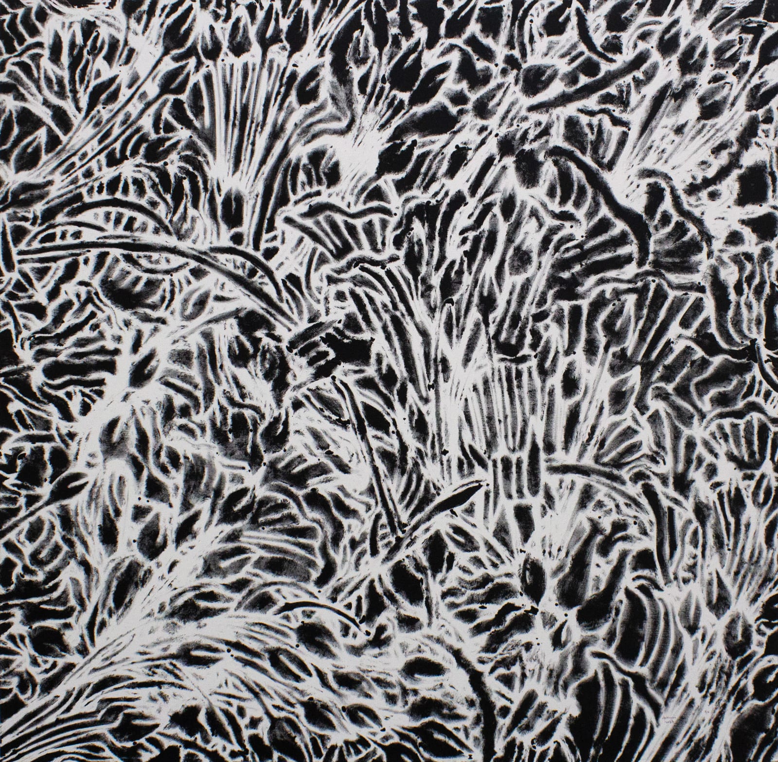 Chandraguptha Thenuwara, Delusion I, 2023