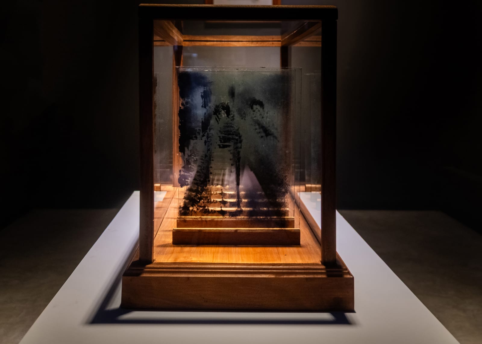 Liz Fernando, Untitled 11, 2024