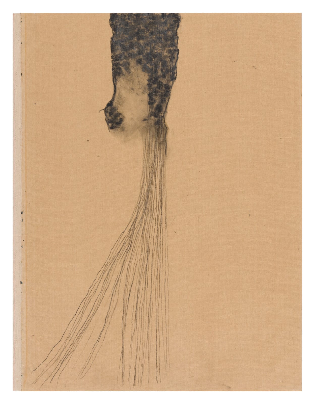 Fabienne Francotte, The Roots 3, 2024