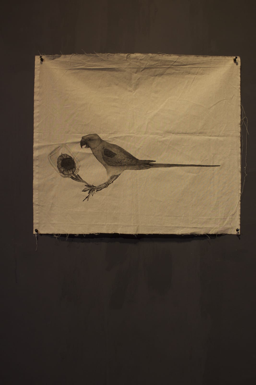 Firi Rahman, Foster 04, 2020