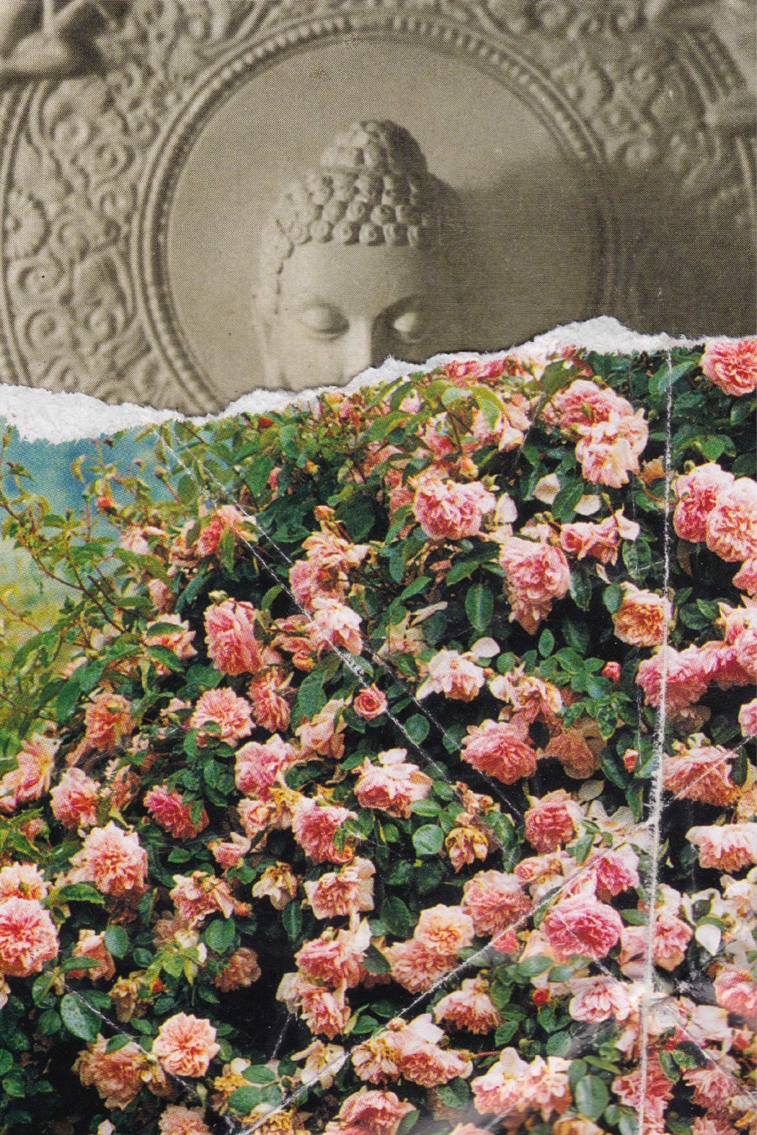 Muvindu Binoy, Scan Single 01, 2020
