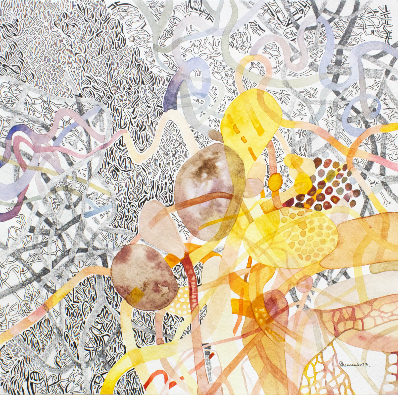 Shaanea Mendis, Untitled I , 2023