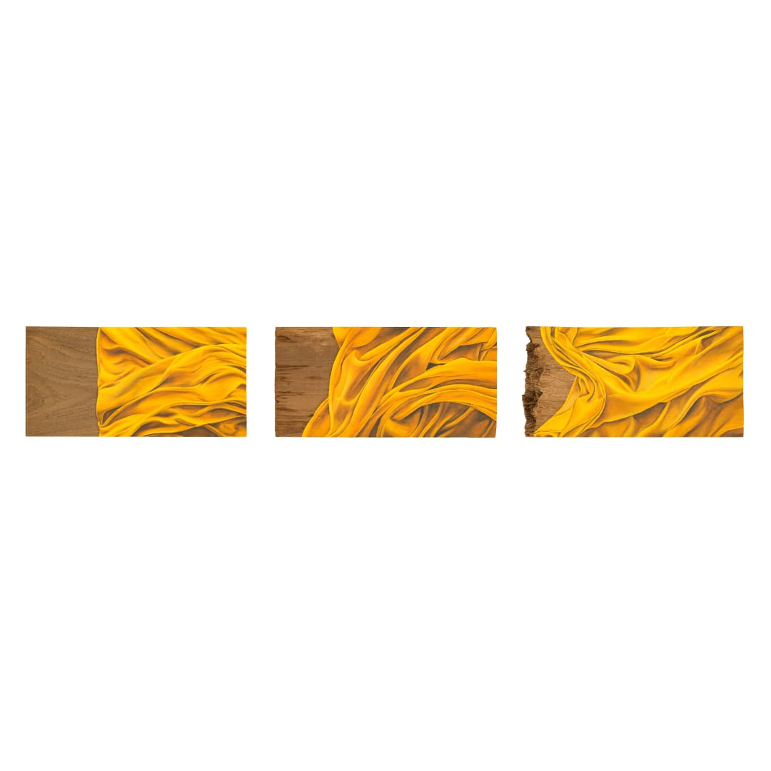 Malinda Jayasinghe, Saffron Borders II, 2024