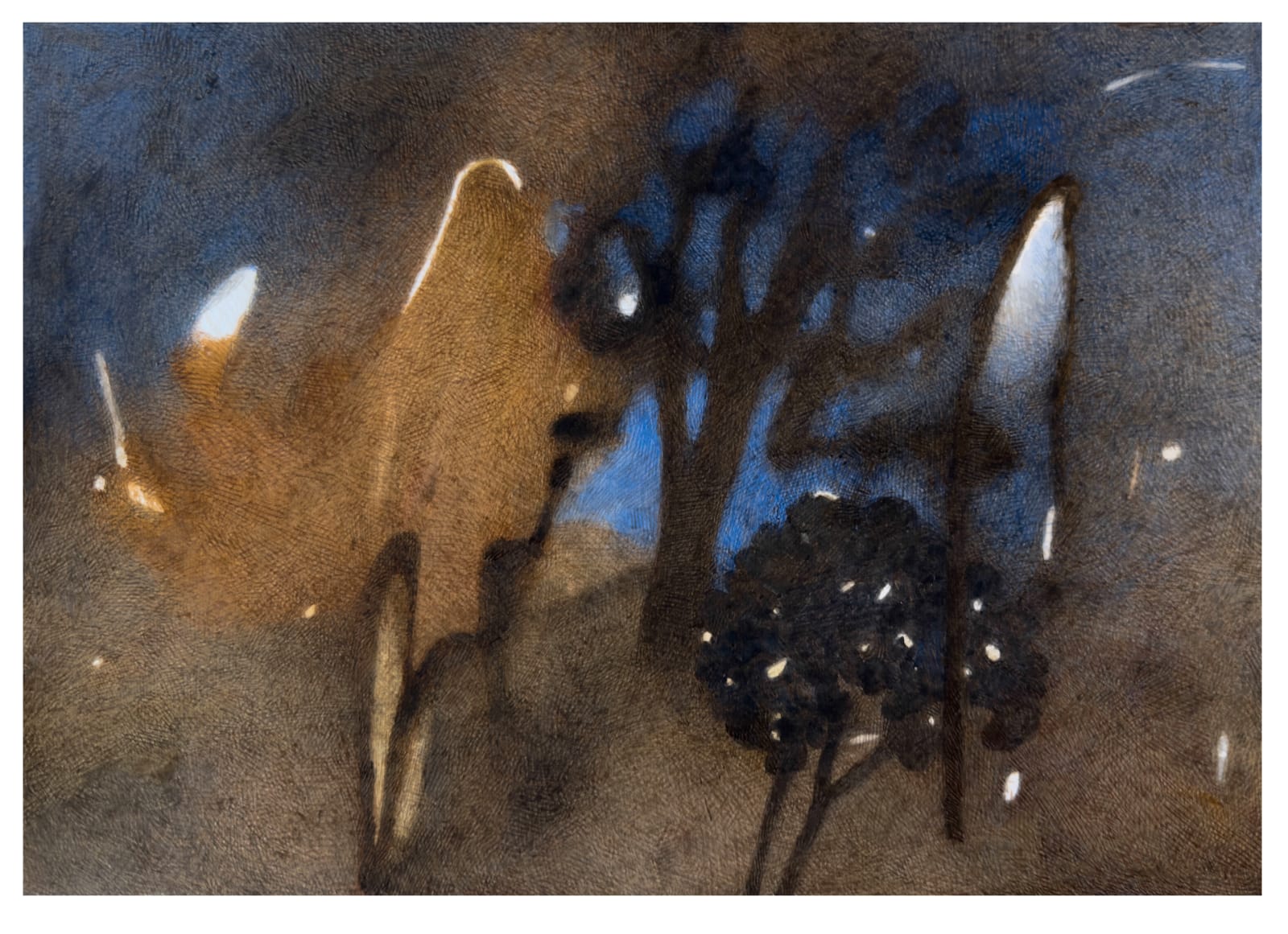 Chandra Bhattacharjee, Untitled, 2025