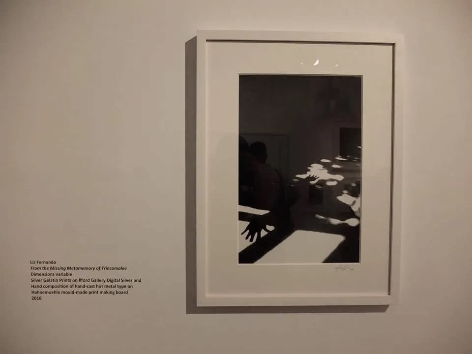 Liz Fernando, Wit(h)ness, Shrine Empire Gallery, Delhi, 2016