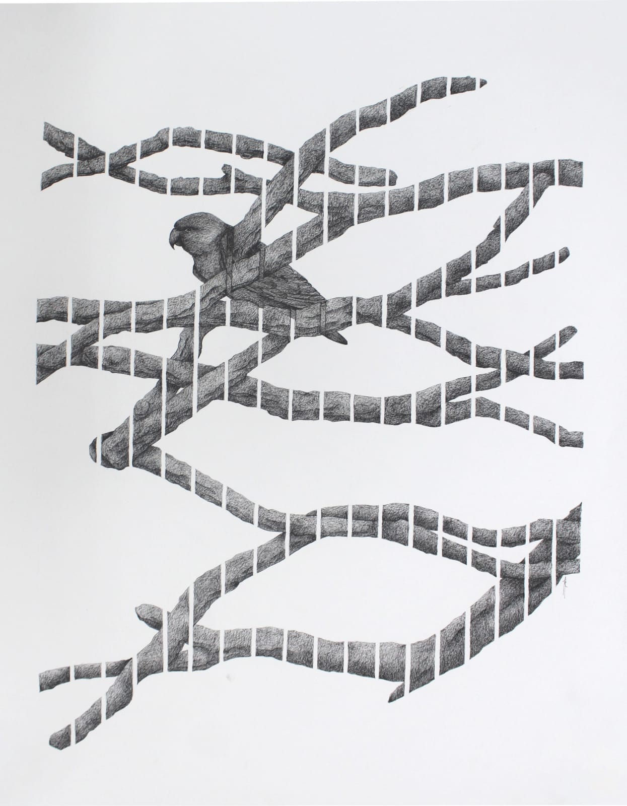 Firi Rahman, Perch to Perch, 2024