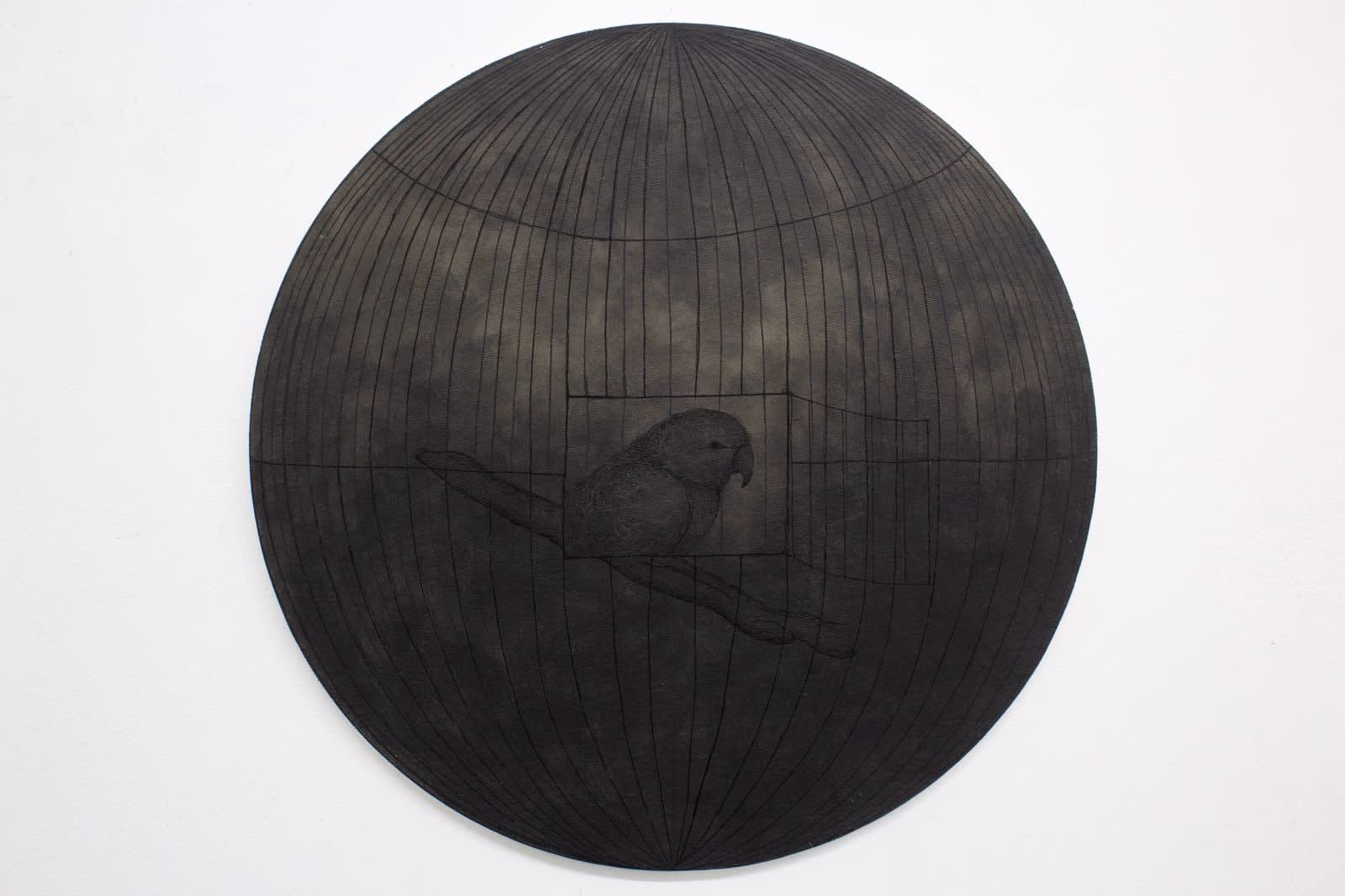 Firi Rahman, Absence 3, 2023