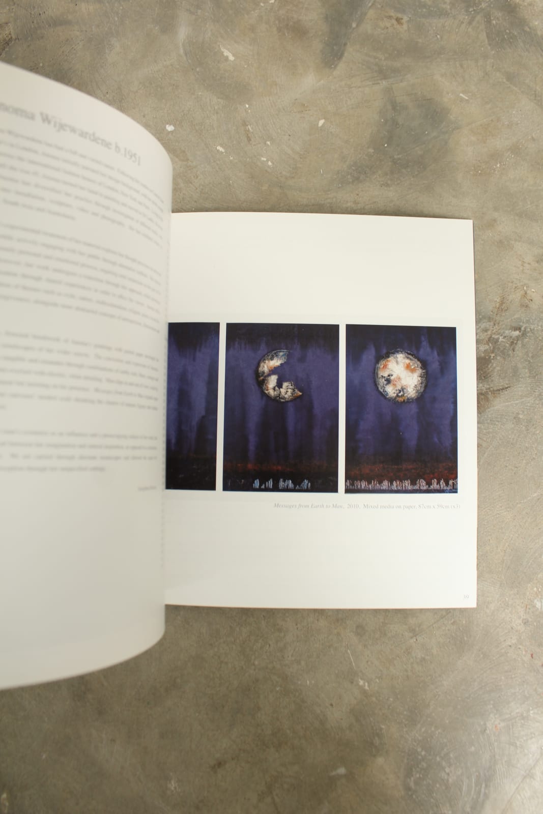 Shop, Contemporary Art From Sri Lanka Catalogue , 2011