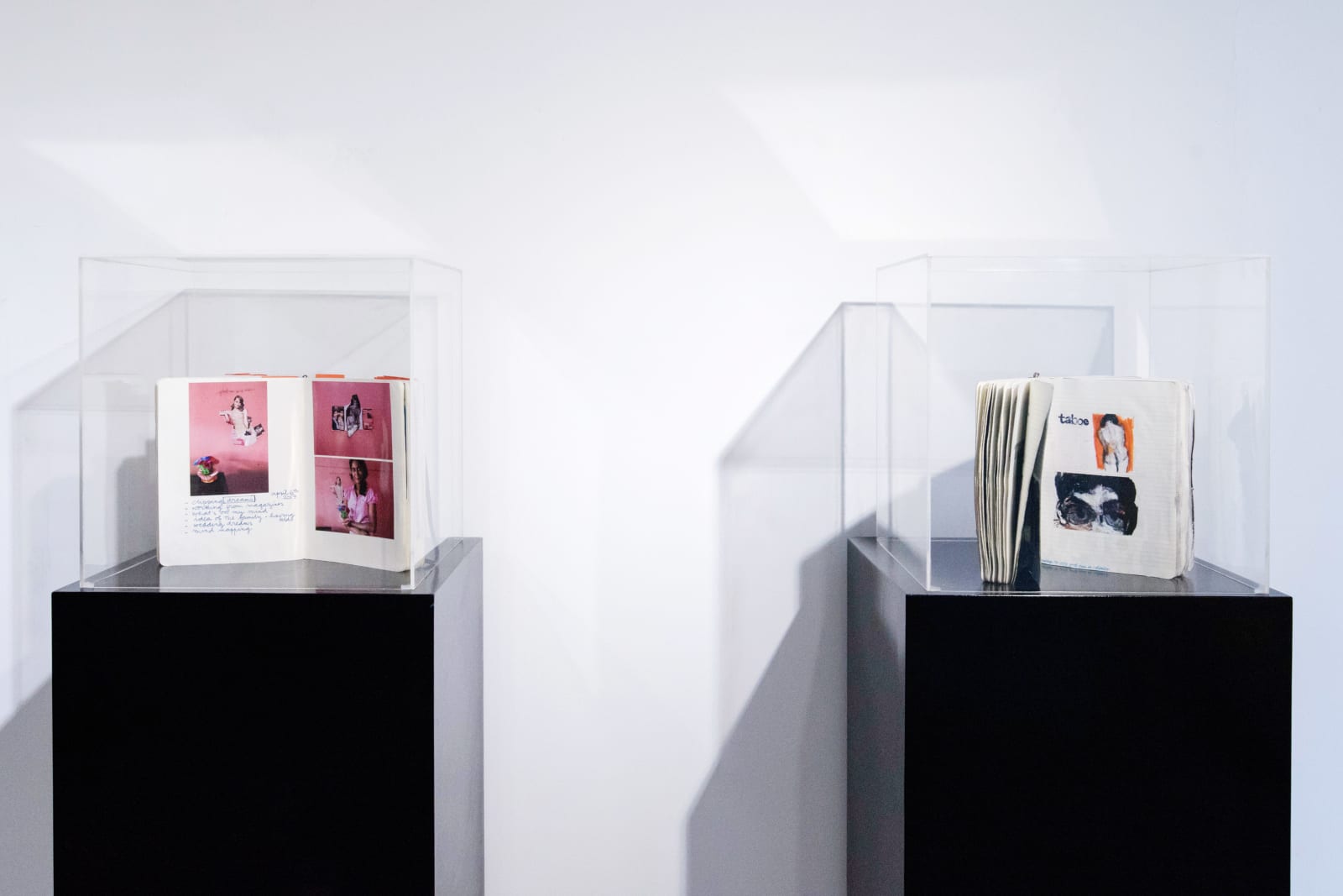 Fabienne Francotte, It's Like Someone Took My Soul, Saskia Fernando Gallery, Colombo, Sri Lanka, 2018