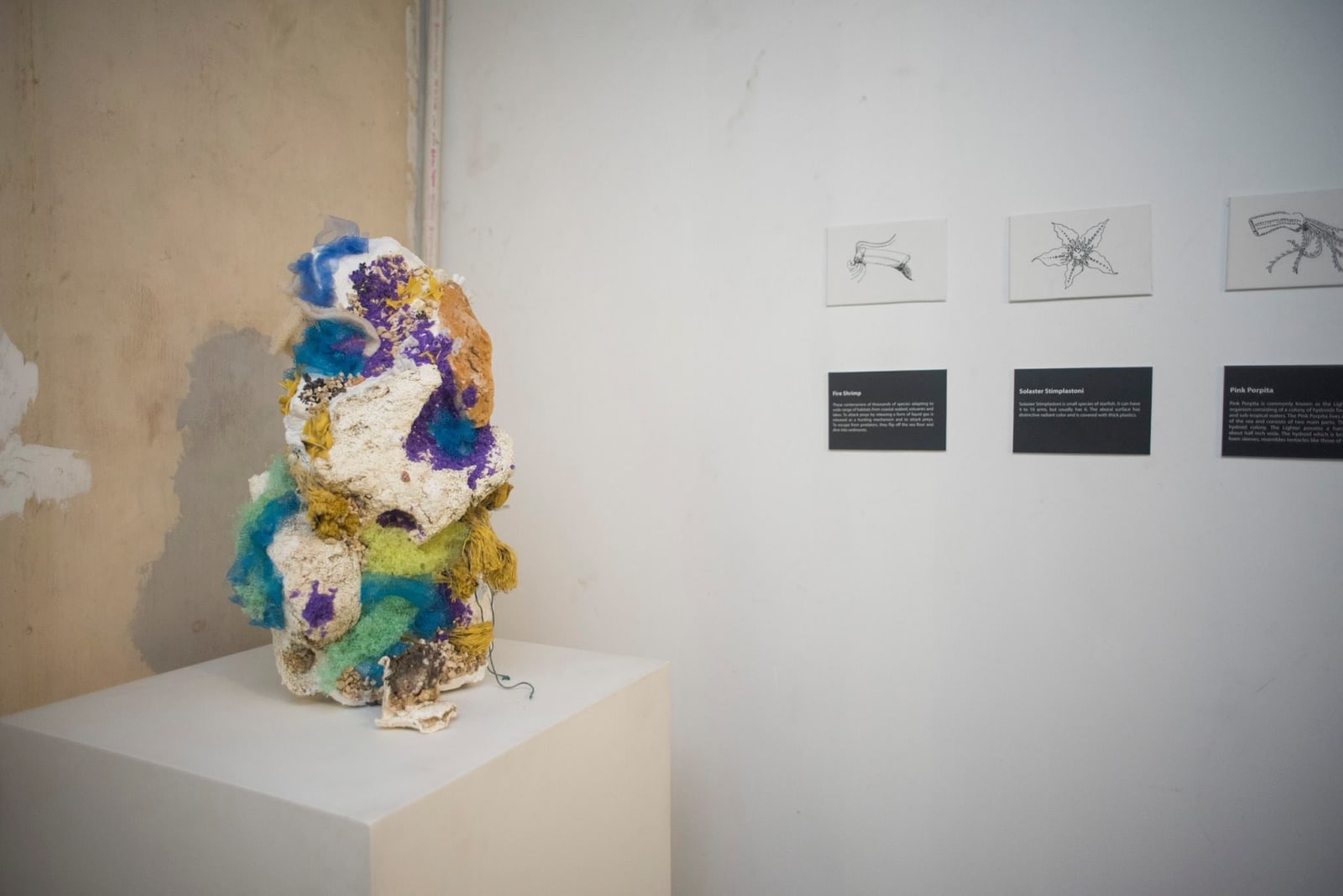 Firi Rahman, Cinnamon Colomboscope: Re/Evolution, Colombo, Sri Lanka, 2017
