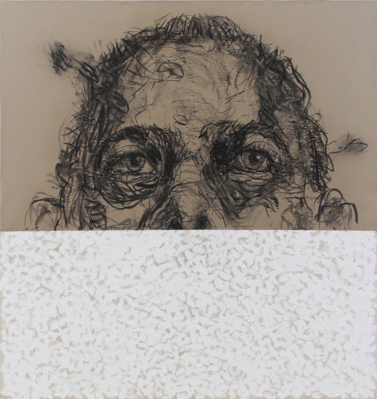 Hashan Cooray, Desire 11, 2020