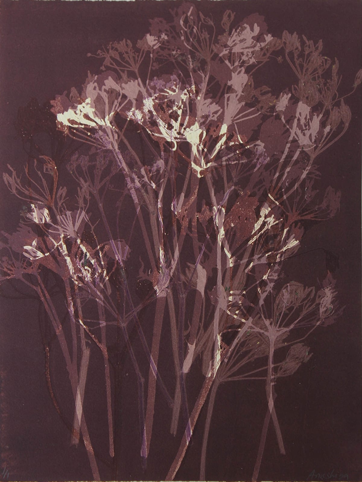 Anushiya Sundaralingam, Untitled, 2025