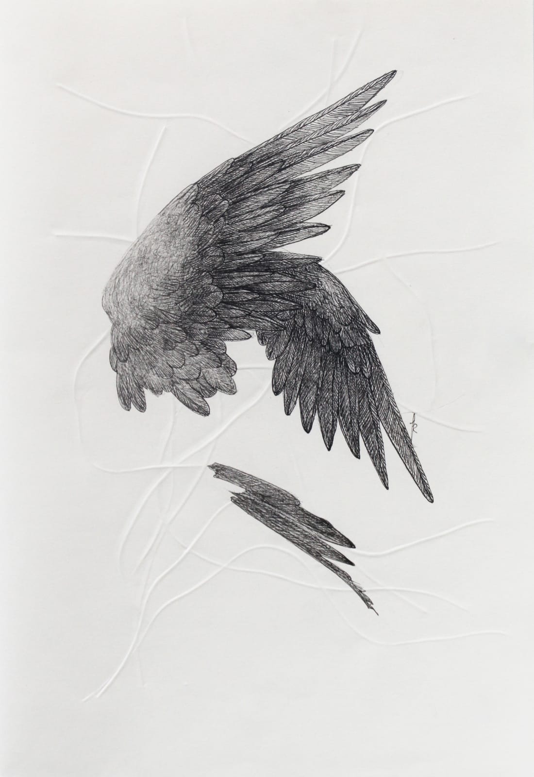 Firi Rahman, The Journey VI, 2023