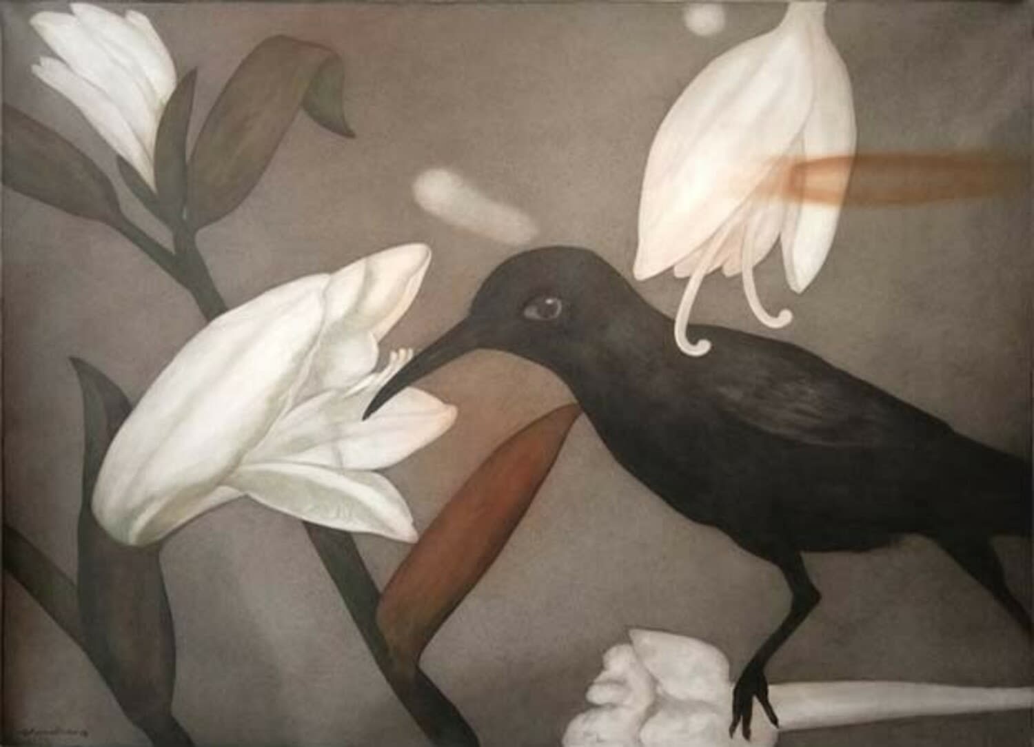 Chandra Bhattacharjee, Untitled, 2018