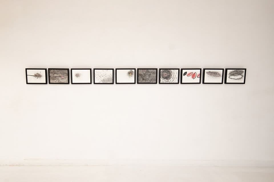 Pakkiyarajah Pushpakanthan, Terrorism has no religion VIII, 2019