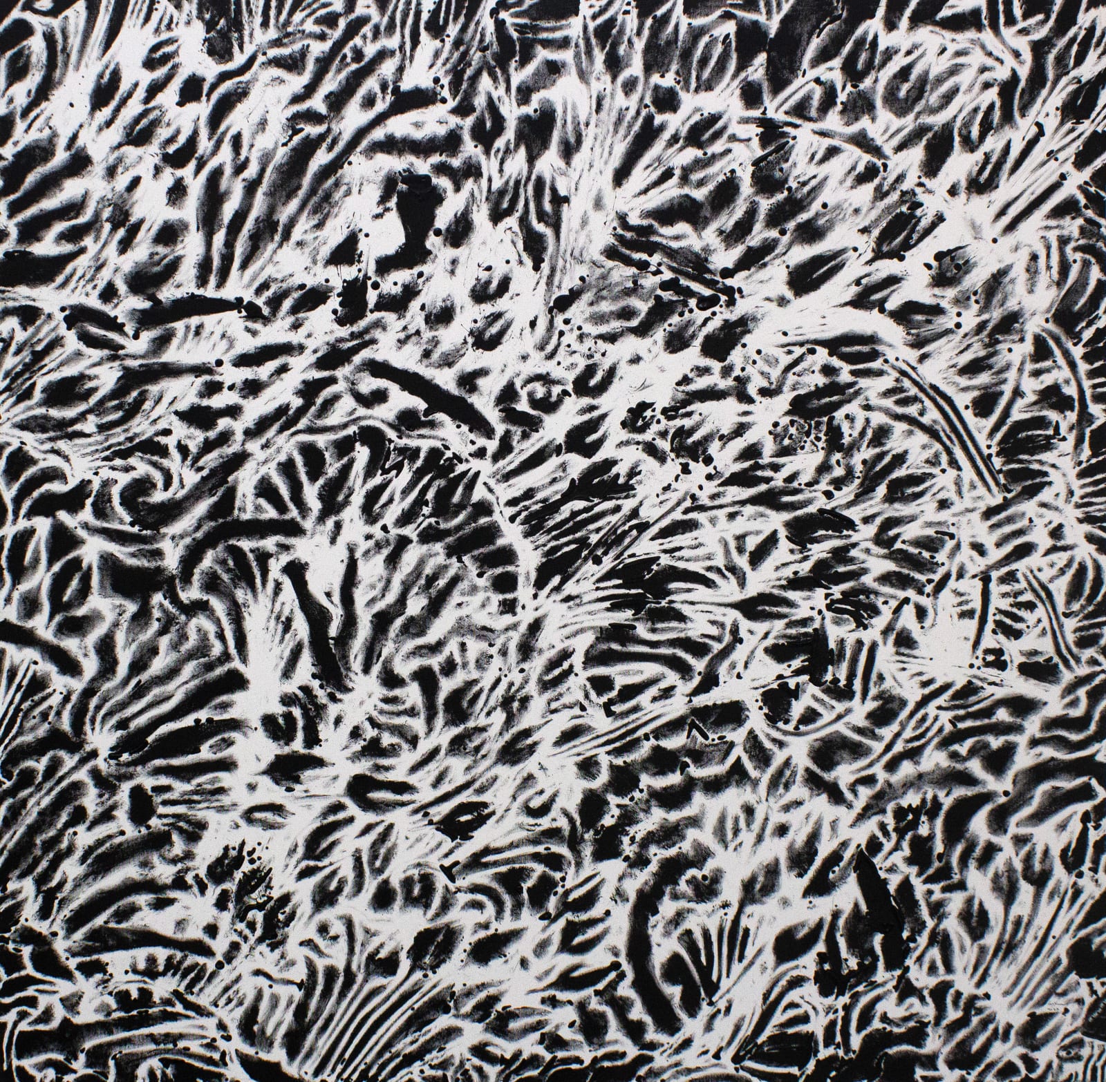Chandraguptha Thenuwara, Delusion II, 2023