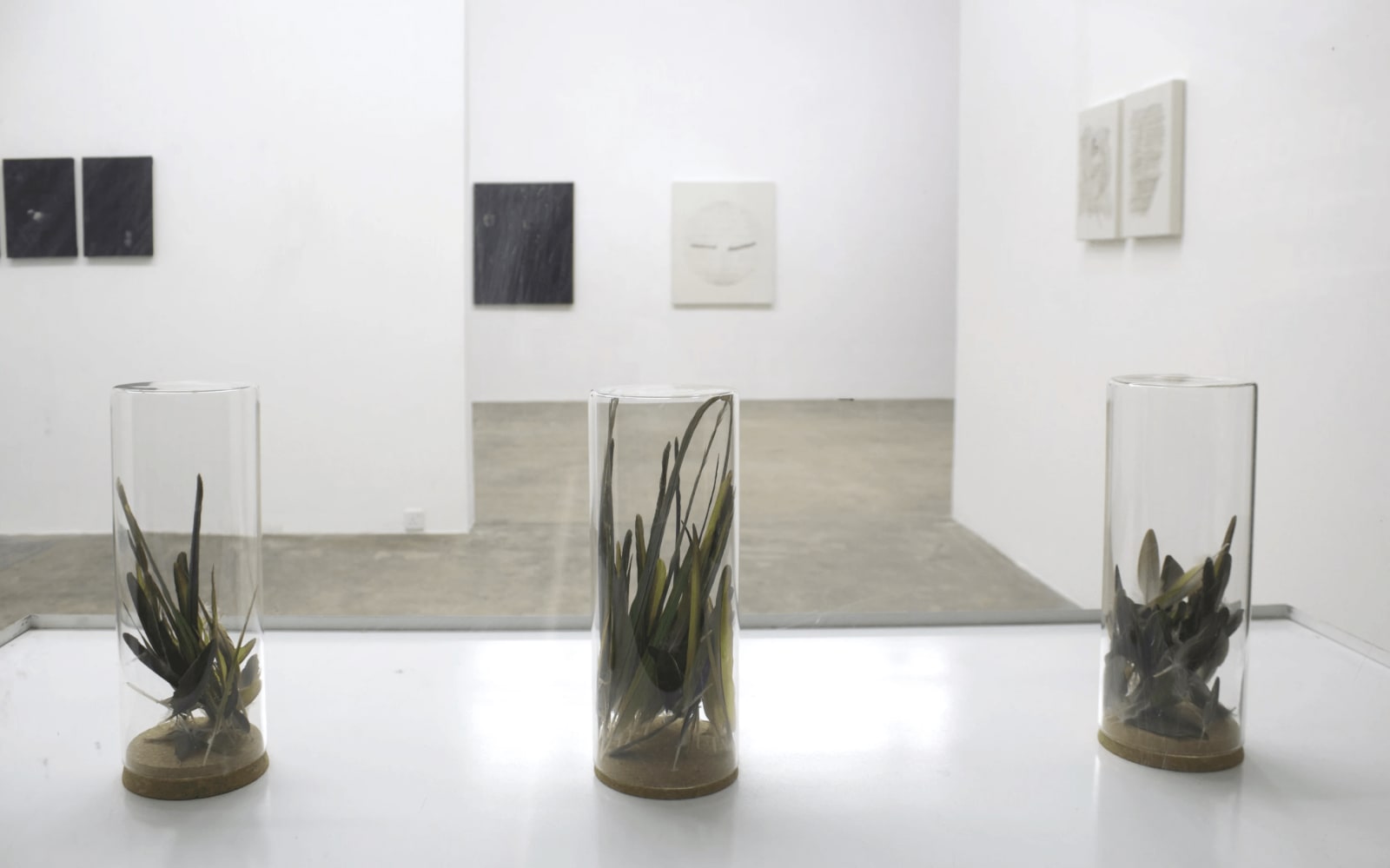 Firi Rahman, Enclosed, Saskia Fernando Gallery, Colombo, Sri Lanka, 2020