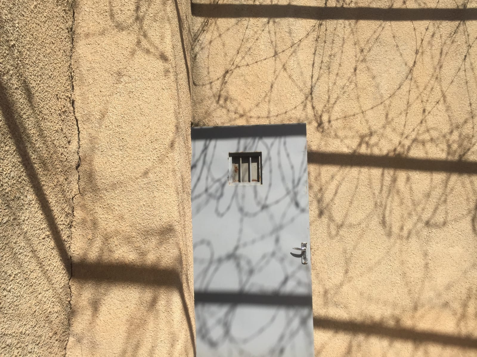 Anoma Rajakaruna, Yet There Is Hope 1, 2019