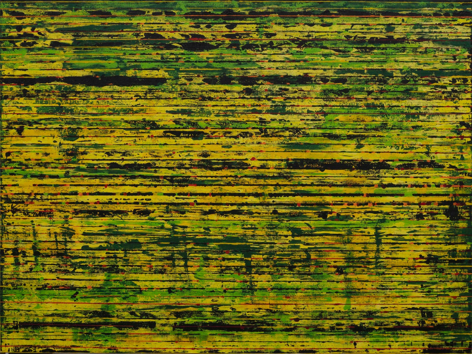 Chandraguptha Thenuwara, Glitch:Camouflage, 2022
