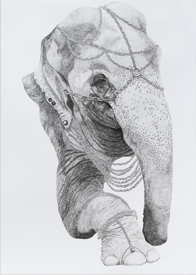 Firi Rahman, Solitary Confinement, 2016