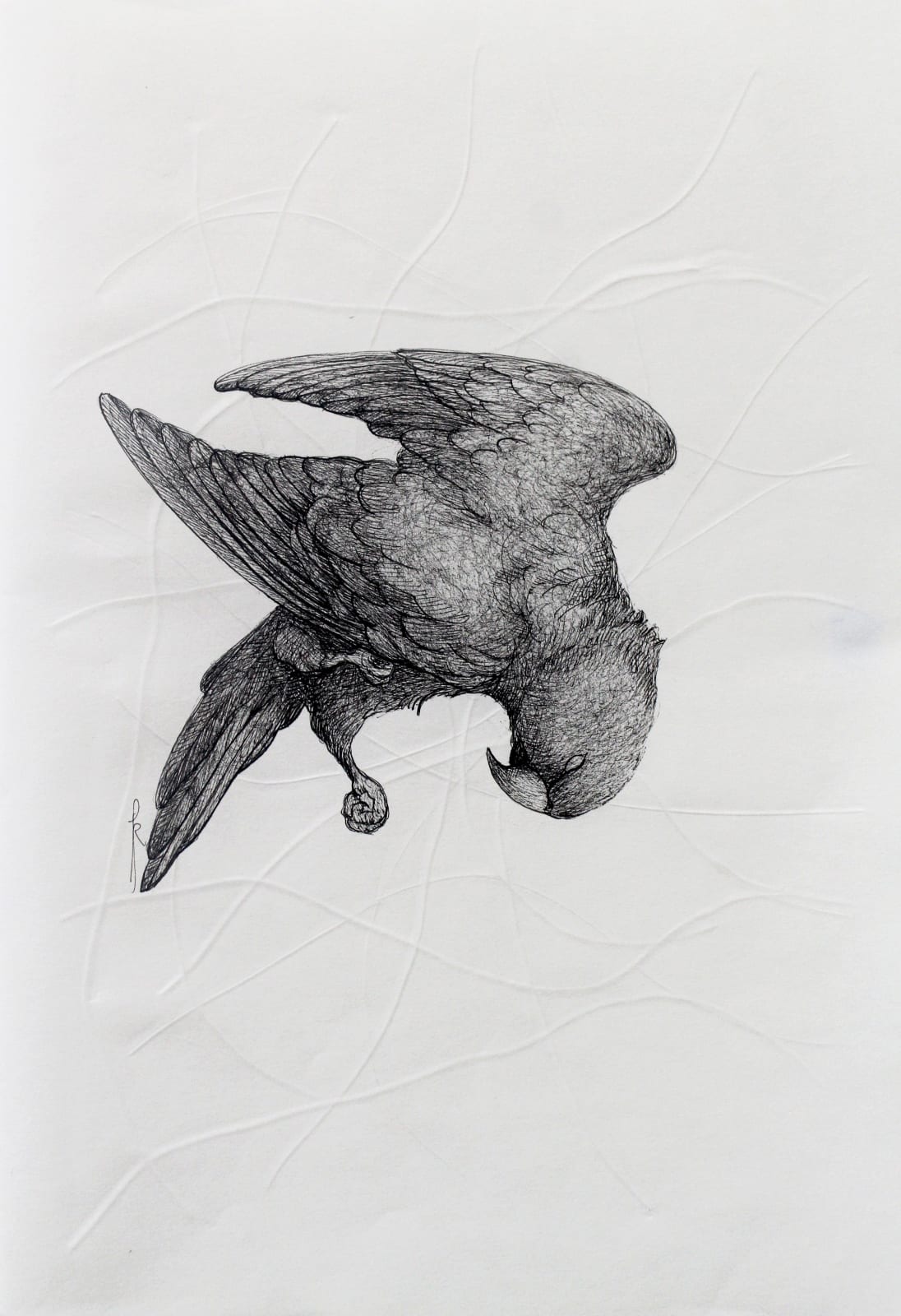 Firi Rahman, The Journey V, 2023