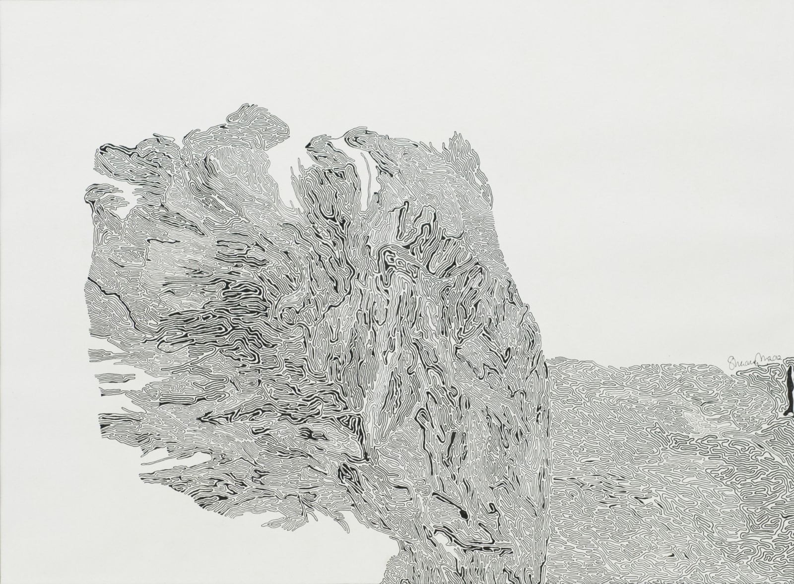 Shaanea Mendis, Cellscape II, 2012