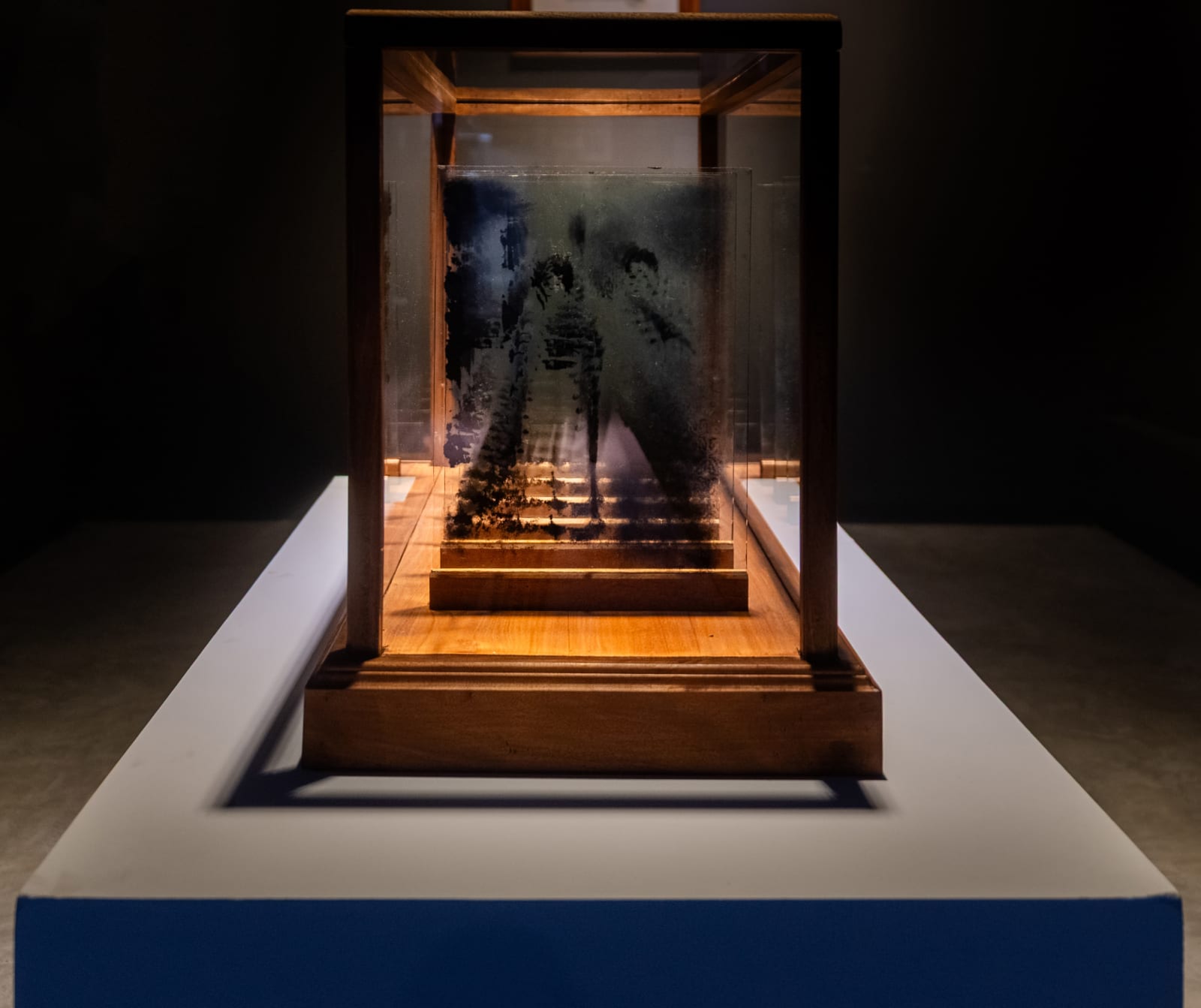 Liz Fernando, Untitled 11, 2024