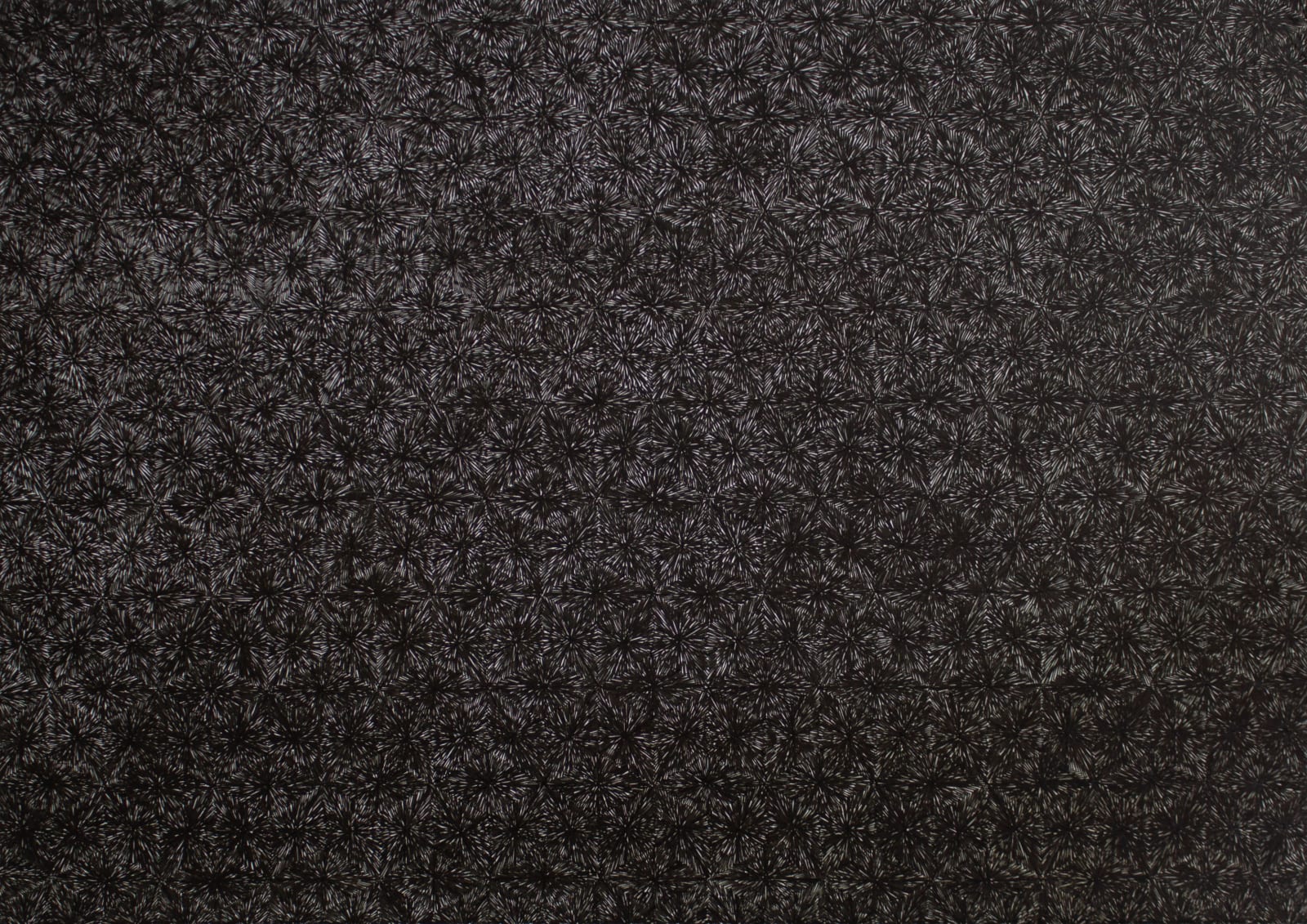 Kavan Balasuriya, Carapace I, 2021
