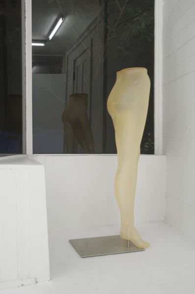 Sara Greenberger Rafferty, Window Legs, 2014