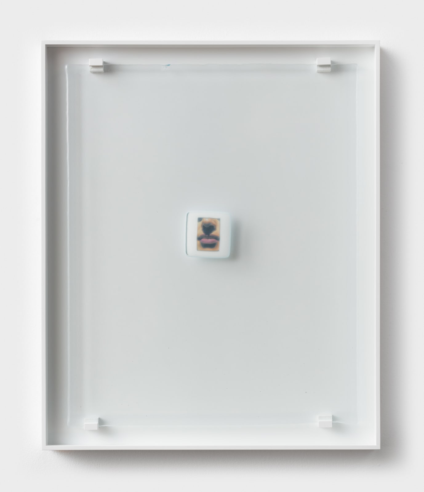 Sara Greenberger Rafferty, Slide (University of Michigan Extension), 2018