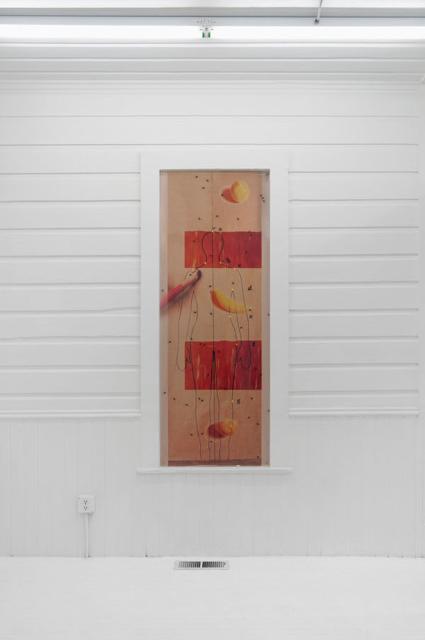 Sara Greenberger Rafferty, Fig (a, b, c, d, e, f, g), 2014