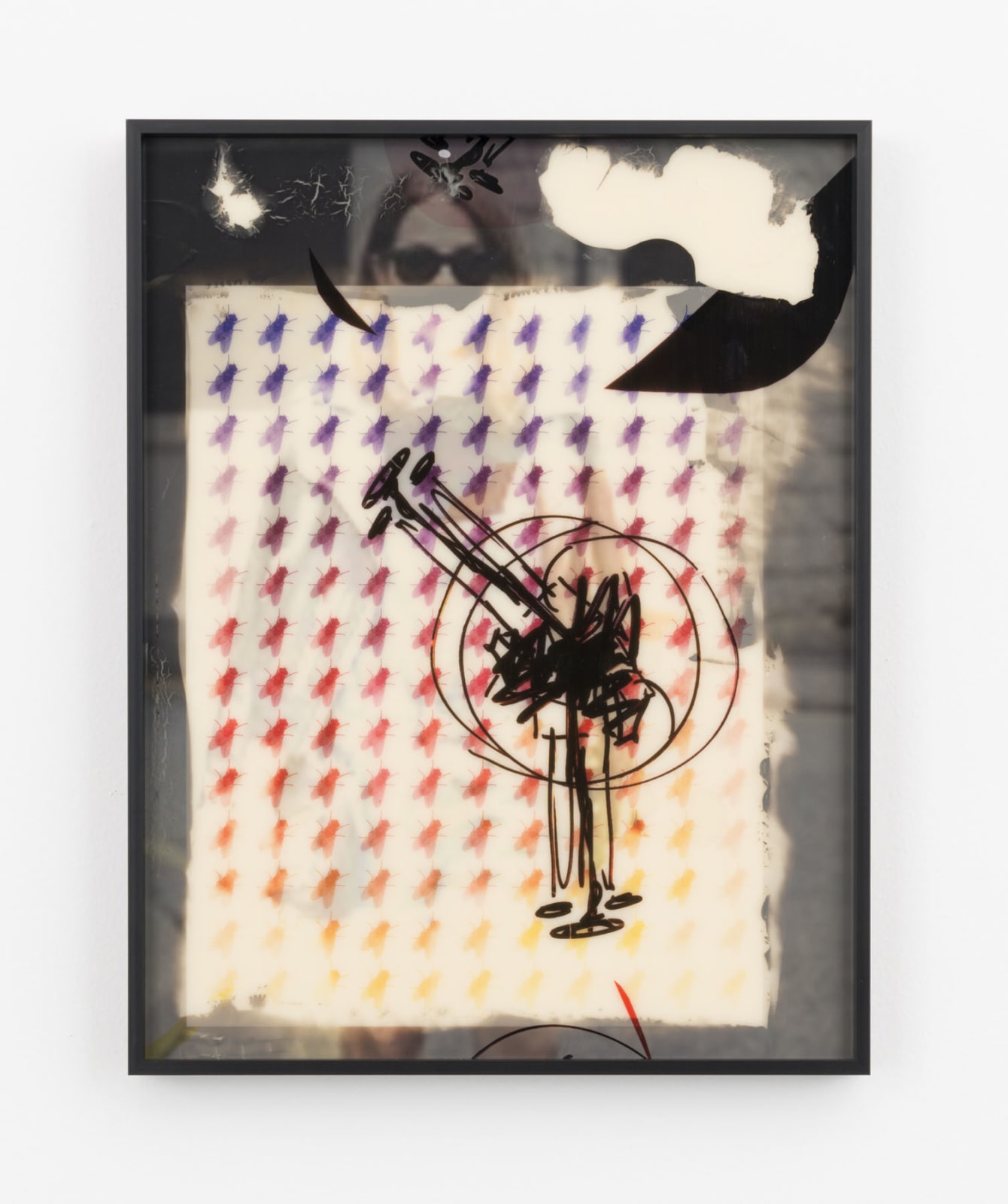 Sara Greenberger Rafferty, Fly Paper II, 2016