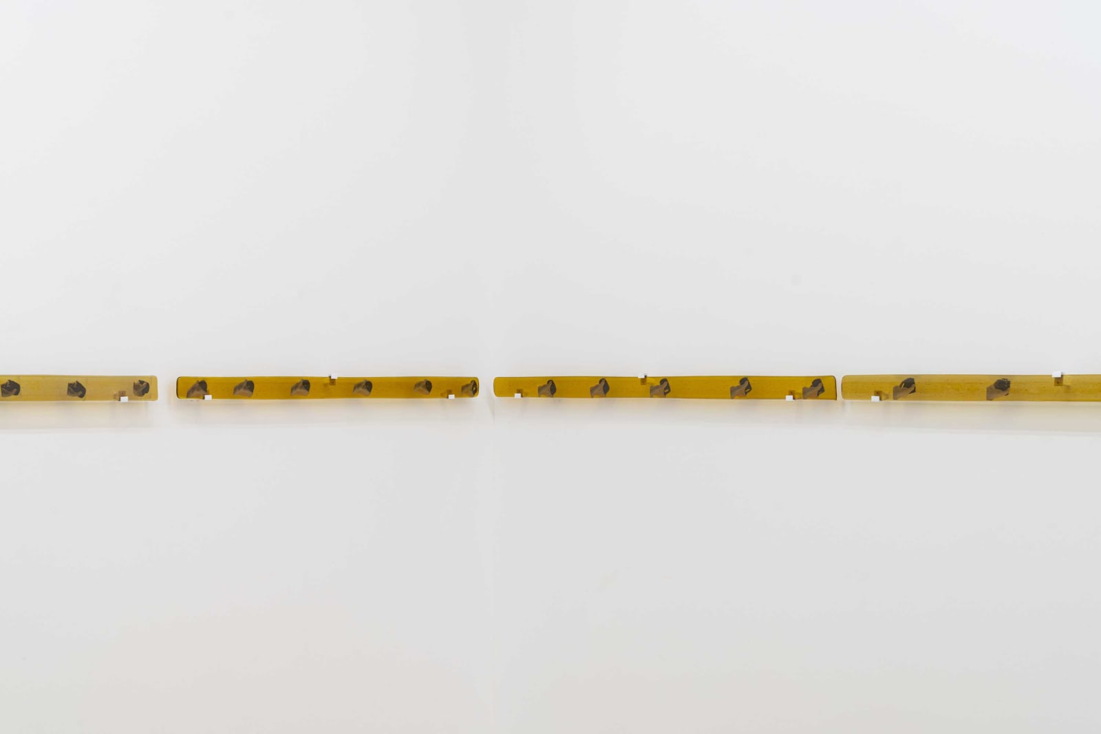 Sara Greenberger Rafferty, Lens Line, 2021