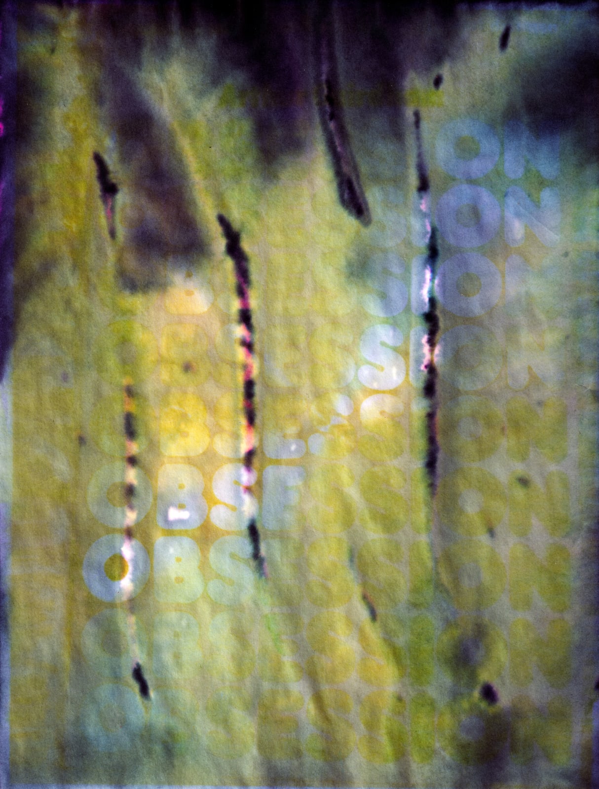 Sara Greenberger Rafferty, Obsession, 2012