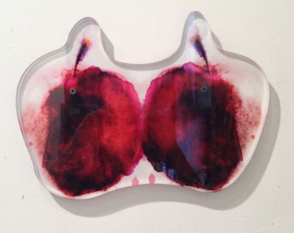 Sara Greenberger Rafferty, Double Apple Prop, 2011