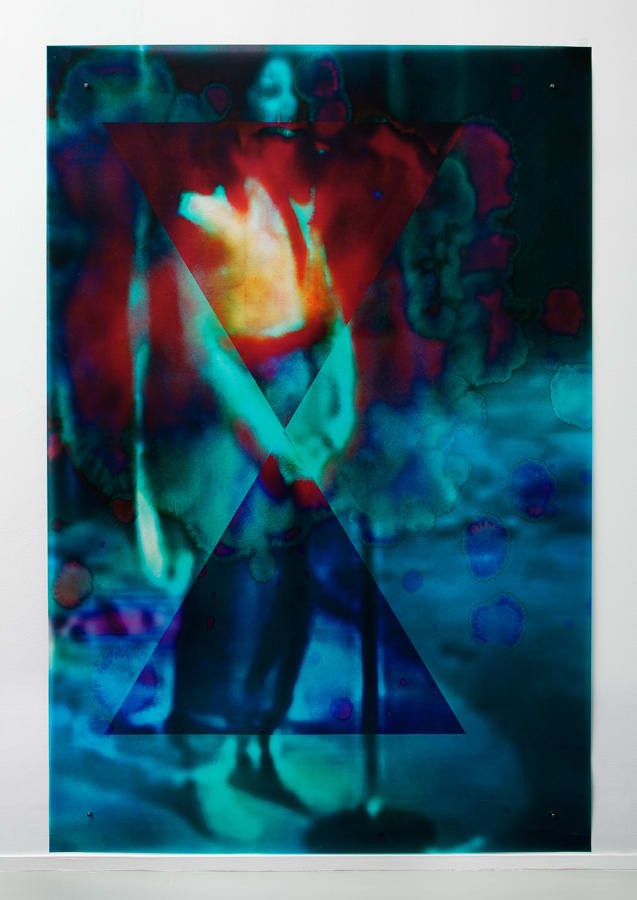 Sara Greenberger Rafferty, Fig (Body Type X), 2012