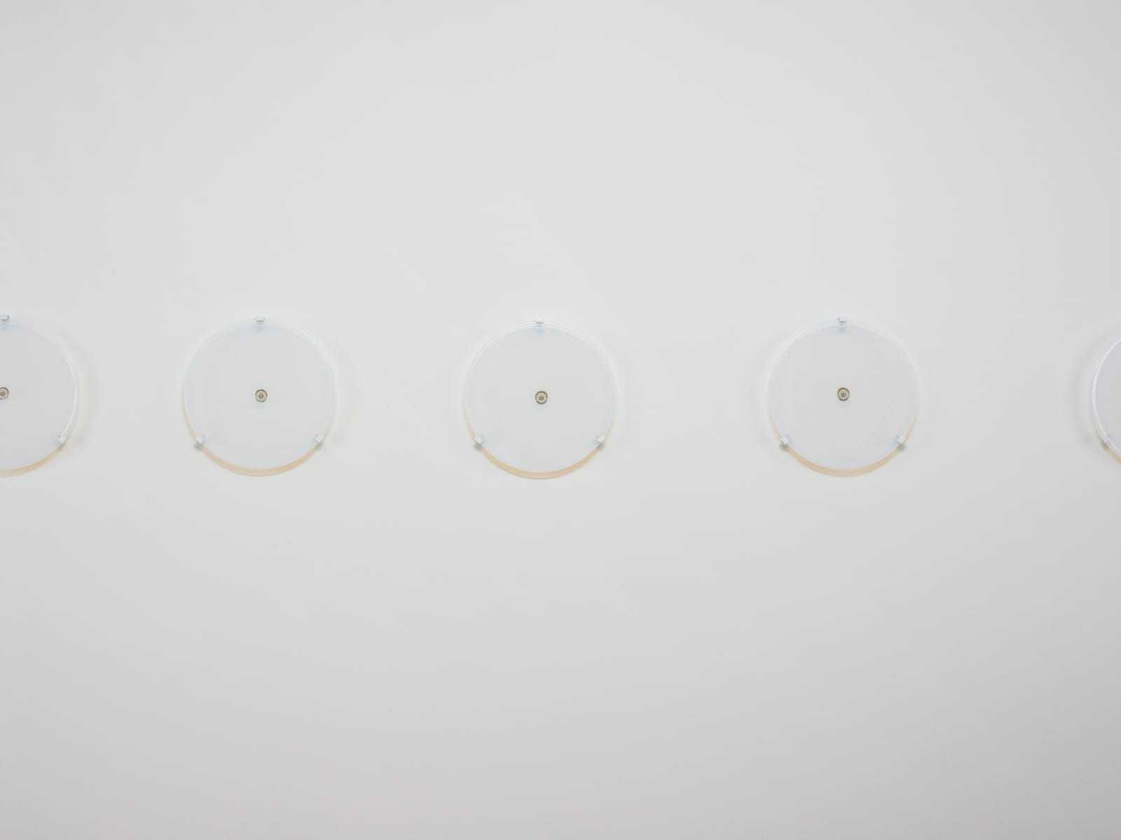 Sara Greenberger Rafferty, Button, 2021