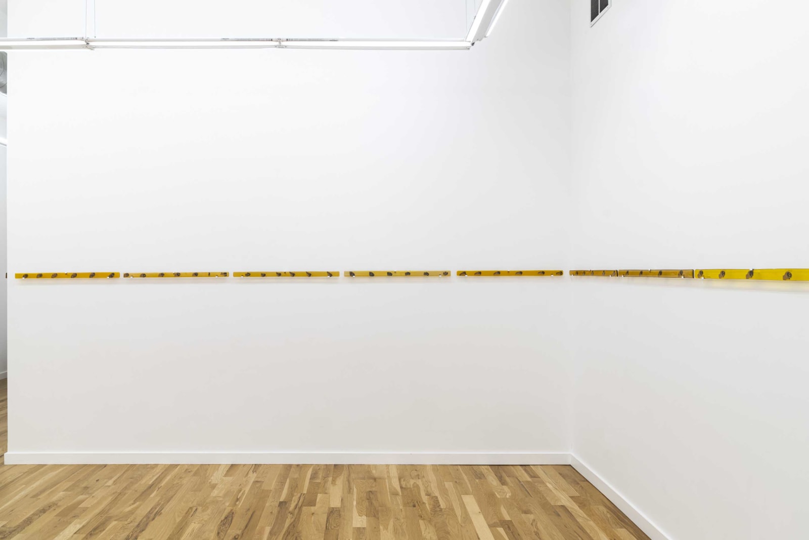 Sara Greenberger Rafferty, Lens Line, 2021