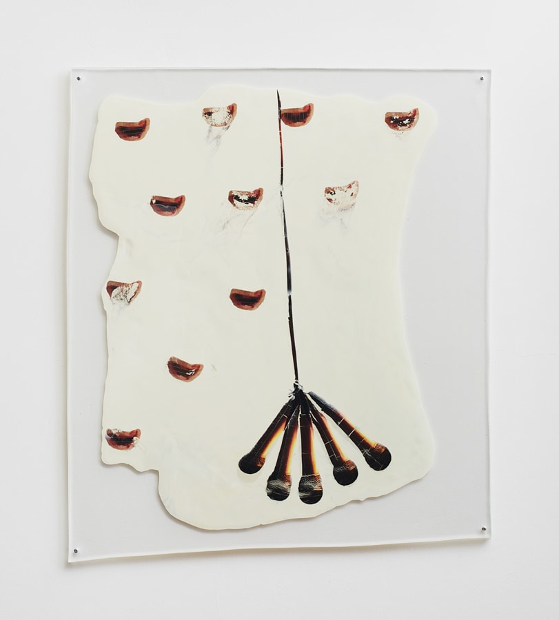 Sara Greenberger Rafferty, Untitled, 2013