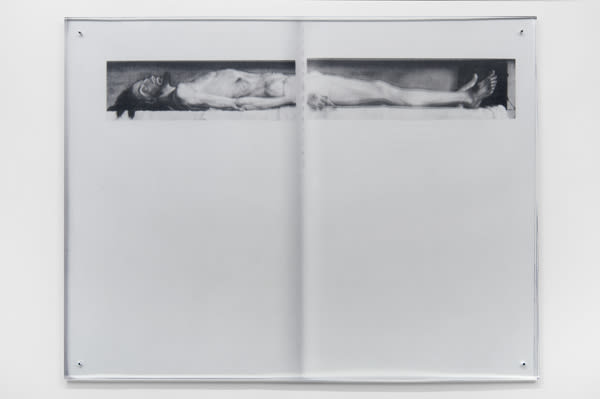 Sara Greenberger Rafferty, Spread, 2014