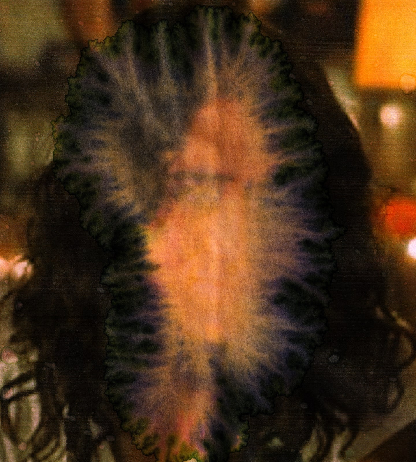 Sara Greenberger Rafferty, Jo, 2011