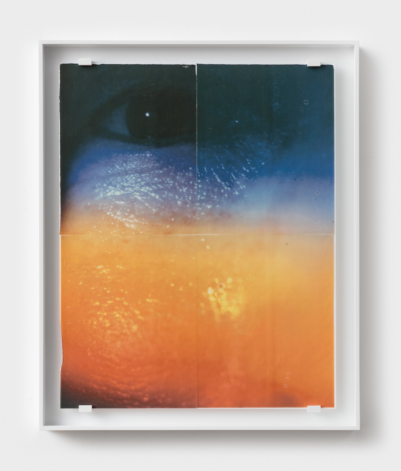 Sara Greenberger Rafferty, Lighting Lesson (University of Michigan Extension), 2018