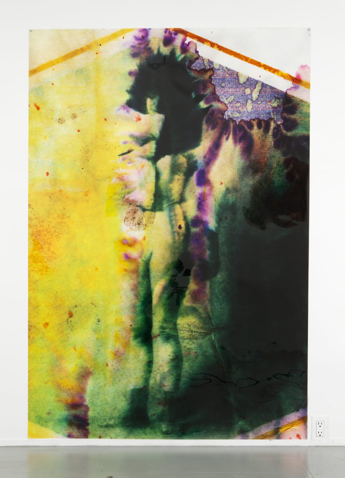 Sara Greenberger Rafferty, Fig (Squeeze), 2011