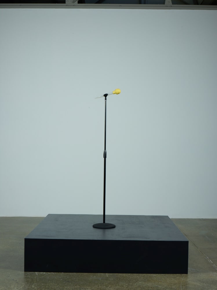 Sara Greenberger Rafferty, Testing II (Baster), 2009